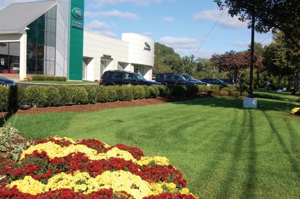 Need to Hire Commercial Landscape Maintenance